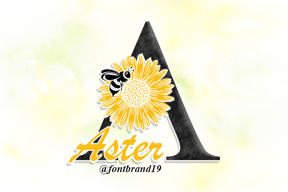 Aster Flower Monogram: A Creative Review for Brand Identity