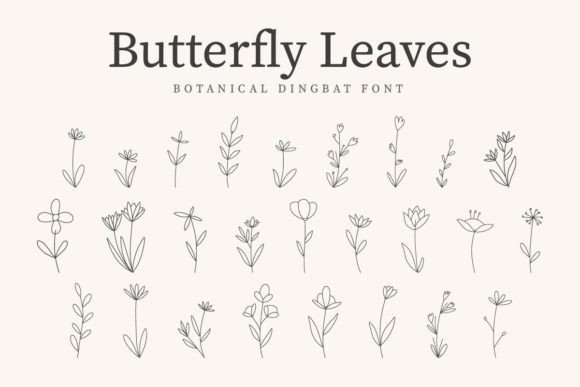 Butterfly Leaves: A Decorative Font for Digital Brand Identity